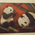 Kaksi pandaa ruokailemassa, väripk, p. 1985 - pikkukuva 1