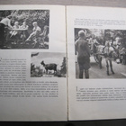 KESÄPÄIVÄ KORKEASAARESSA, OTAVA 1948 - pikkukuva 5