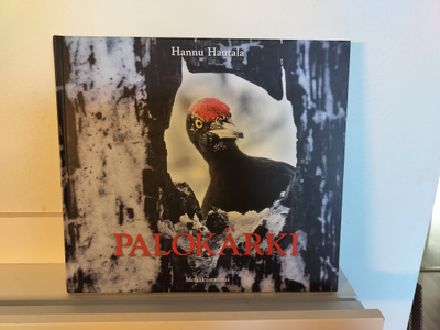 Palokärki
