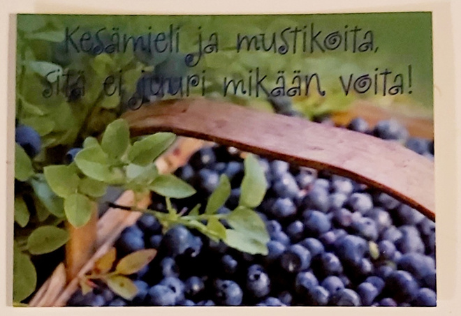 "Kesämieli ja mustikoita..."-KULKEMATON POSTIKORTTI