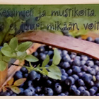 "Kesämieli ja mustikoita..."-KULKEMATON POSTIKORTTI - pikkukuva 1