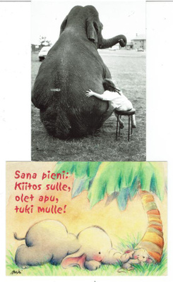 Norsut eli elefantit