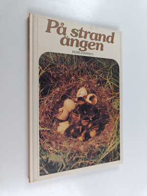Elvig Hansen : På strand ängen