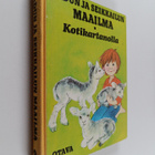 Aili (toim.) Palmen : Sadun ja seikkailun maailma 2 : Kot... - pikkukuva 1