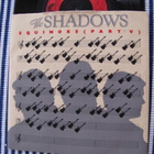 The Shadows equinoxe (part V) 7 45 UK 1980 rautalanka - pikkukuva 1