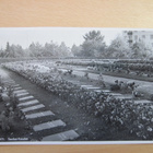 VANHA Postikortti Lahti 1950-l Alkup. Mallikappale - pikkukuva 1