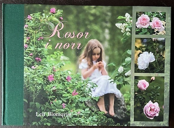 Blomqvist Leif : Rosor i norr