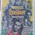 Prinsessa Ruusunen DVD - pikkukuva 1
