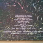 Mr Big - Photographic Smile LP - pikkukuva 3