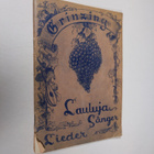 Grinzing : lauluja = sånger = Lieder - pikkukuva 1