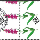 Ål 2007 Rantakukkia 0,90 € välilöpari logo EPL LaPe 274 - pikkukuva 2