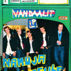 HILSE 10 Vandaalit EPUT/PANTSE Vaavi WIDOWS Hurskas PUNK - pikkukuva 3