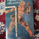 Orlando Virginia Woolf - pikkukuva 1