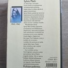 Sylvia Plathin päiväkirjat - pikkukuva 2