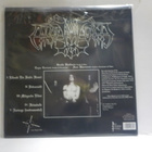 ENSLAVED - VIKINGLIGR VELDI  2. PAINOS 2LP UUSI - pikkukuva 2