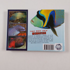 Red Sea Memofish - pikkukuva 2