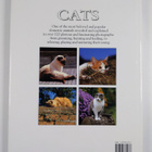Angela Rixon : Cats - pikkukuva 2