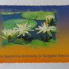 Etsi kauneutta luonnosta....(Papron) - pikkukuva 1