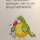 kortti ** Ansio Marleena Lintu nalle tai siili - erilaisia - pikkukuva 3