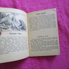 AAPINEN v 1931 - toimittanut KUSTAA KUUSELA ! - pikkukuva 4