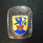 Pietarsaari vaakuna Hopea emali 30x25mm, leimattu - pikkukuva 1