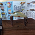 Salmo Hornet Sinking 3,5cm H38 D - pikkukuva 2