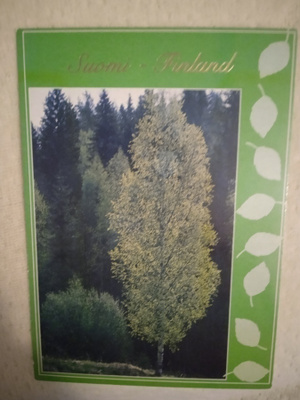 NO 1 -  SUOMI - FINLAND - PUU