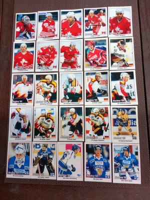 Panini Hockey '95 tarrat 1 € kpl
