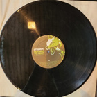 Steinski - Nothing To Fear: A Rough Mix Lp (EX+) - pikkukuva 2