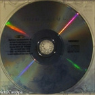 Ambelique • Special Attention CD - pikkukuva 4