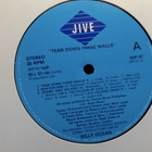 BILLY OCEAN  ::  TEAR DOWN THESE WALLS :: VINYYLI LP  1988 ! - pikkukuva 4