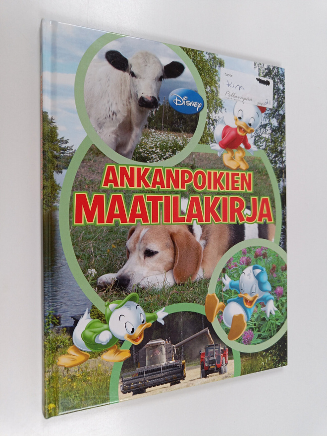 Satu Heimonen : Ankanpoikien maatilakirja