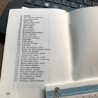 Veljeslauluja - pikkukuva 3