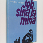 Uriel Kailo : Job, sinä ja minä : kärsimyksen ongelma Job... - pikkukuva 1