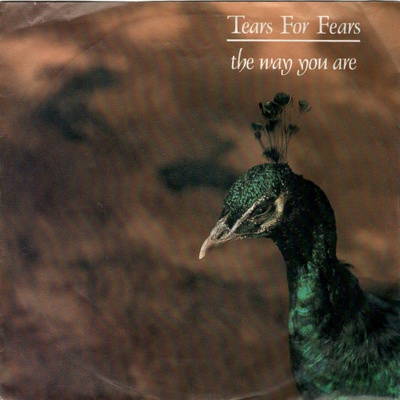 Tears For Fears: The Way You Are 7"
