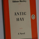 Aldous Huxley - Antic Hay - pikkukuva 1