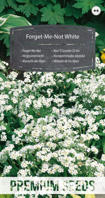Alppilemmikki "Forget-Me-Not" Valkoinen - siemenet #