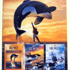 Free Willy Pelastakaa Willy 3 elokuvaa kokoelma - pikkukuva 1