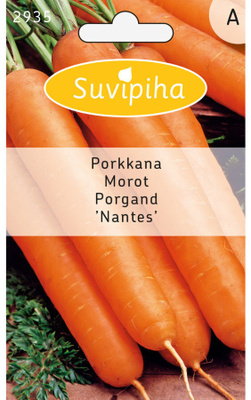 Porkkana NANTES siemenet #