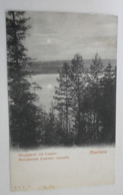 Mustiala, metsäseutu Lammin rannalla, mv pk, k. 1902