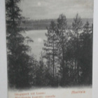 Mustiala, metsäseutu Lammin rannalla, mv pk, k. 1902 - pikkukuva 1