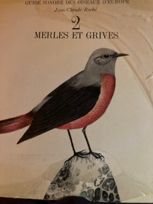 MERLES ET GRIVES 2 lintujen ääniä