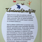 Penny Girl- kirjat: Unissakävelijät ja Sydänhevoset +3 KORUA - pikkukuva 4