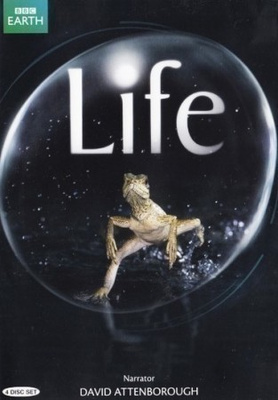 Life - Elävä planeetta 4 dvd