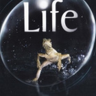 Life - Elävä planeetta 4 dvd - pikkukuva 1