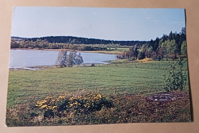 Espoo, Bodom-järvi, maisema, p. 1967