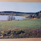 Espoo, Bodom-järvi, maisema, p. 1967 - pikkukuva 1