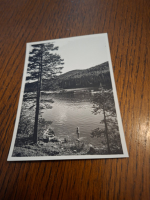 12 Koli