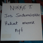 NIKKE T. ~ Jos Sademetsään Haluat Mennä Nyt ~ 12" EP Promo - pikkukuva 1
