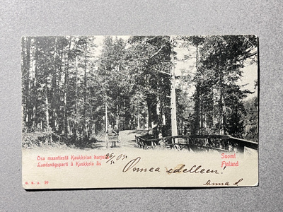 Kaukolanharju maantienäkymä 1905